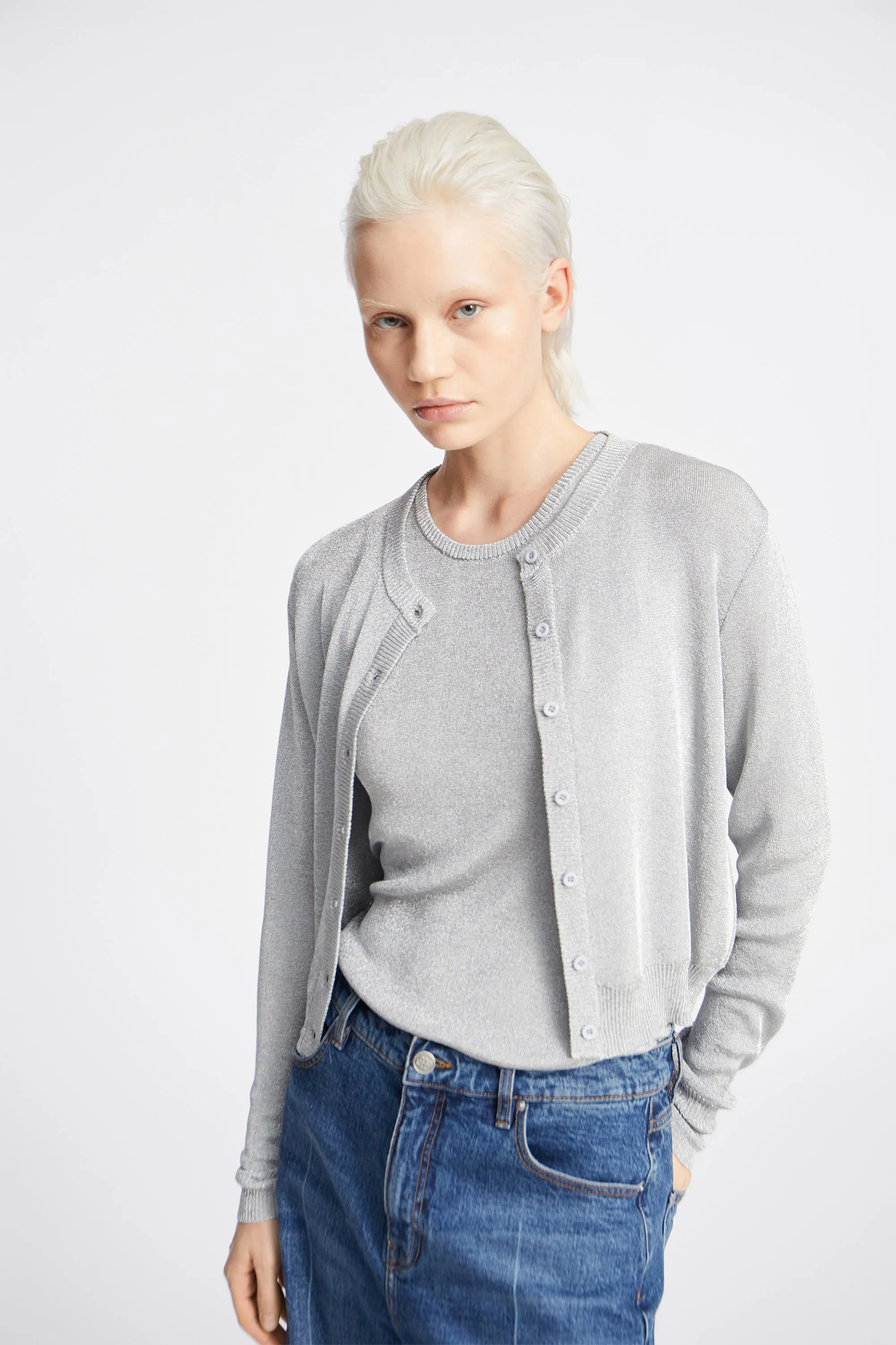 PARKSTER - SILVER Munthe